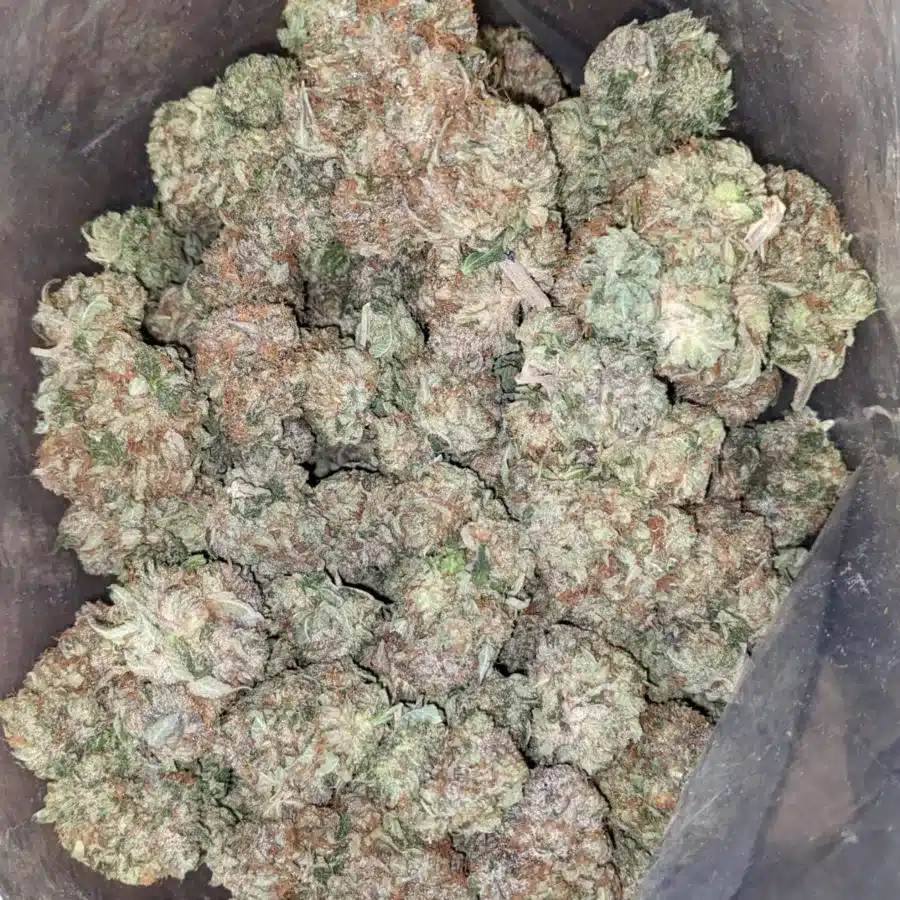 Bubba Kush 2 I Bubba Kush