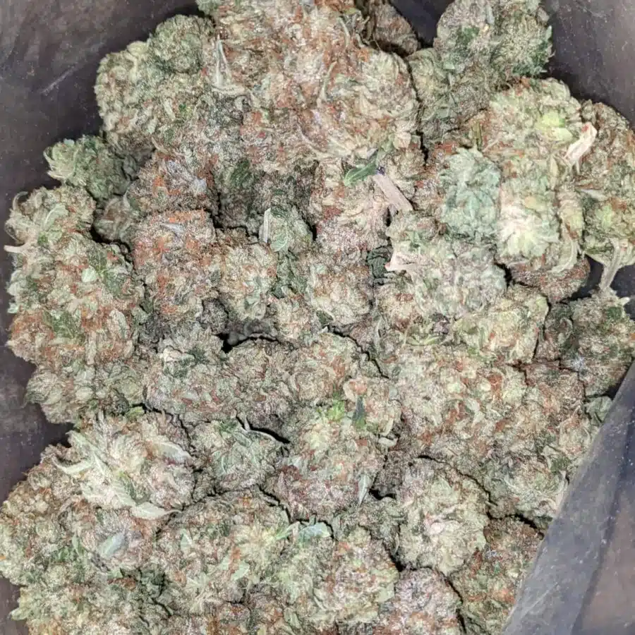 Bubba Kush 3 I Bubba Kush