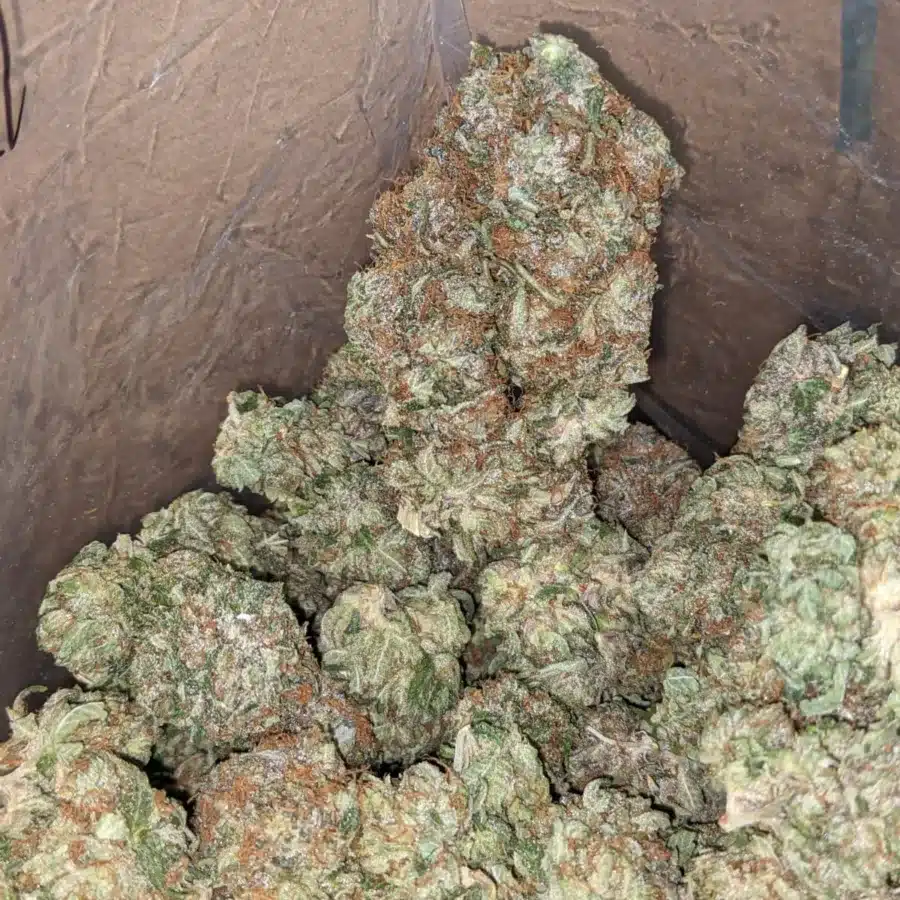 Bubba Kush 4 I Bubba Kush