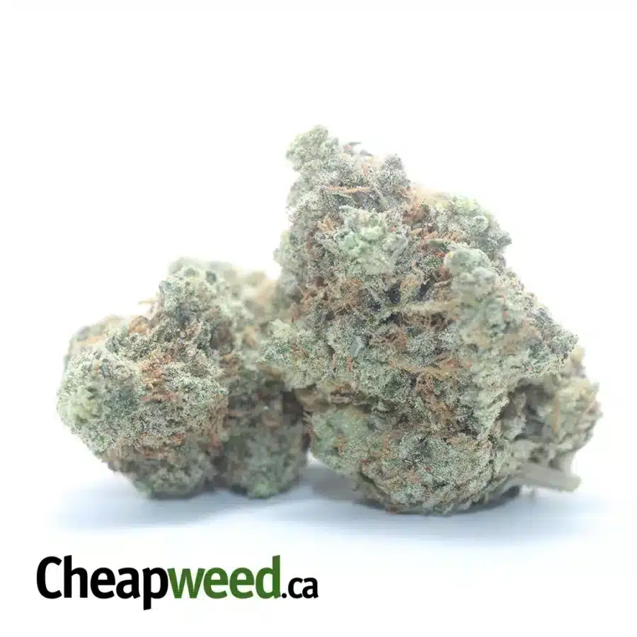 Alternative view of Chocolate Gelato #2