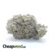 Chocolate Kush