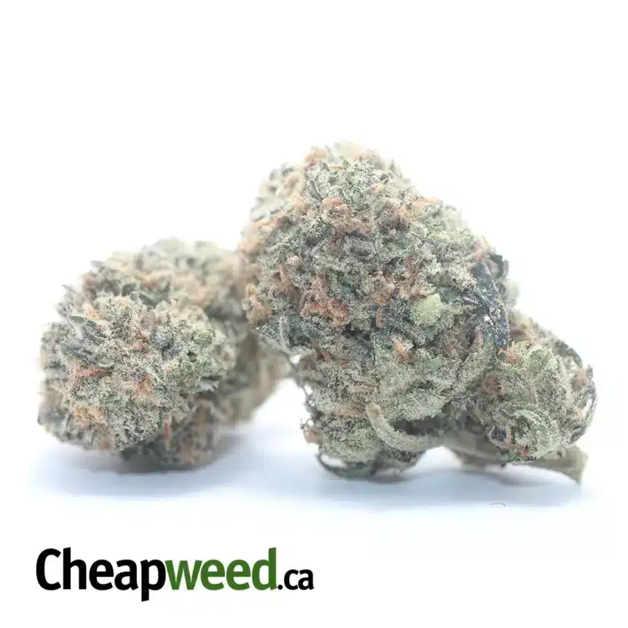Alternative view of Chocolate Kush