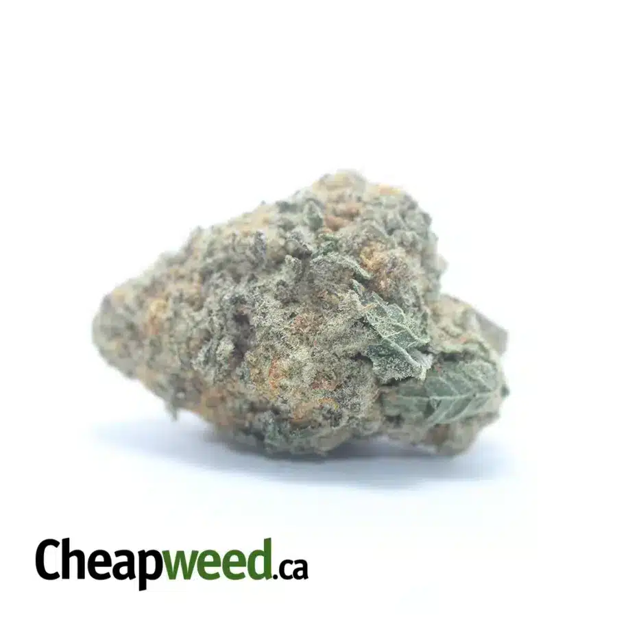 $48 Oz - Columbian Gold