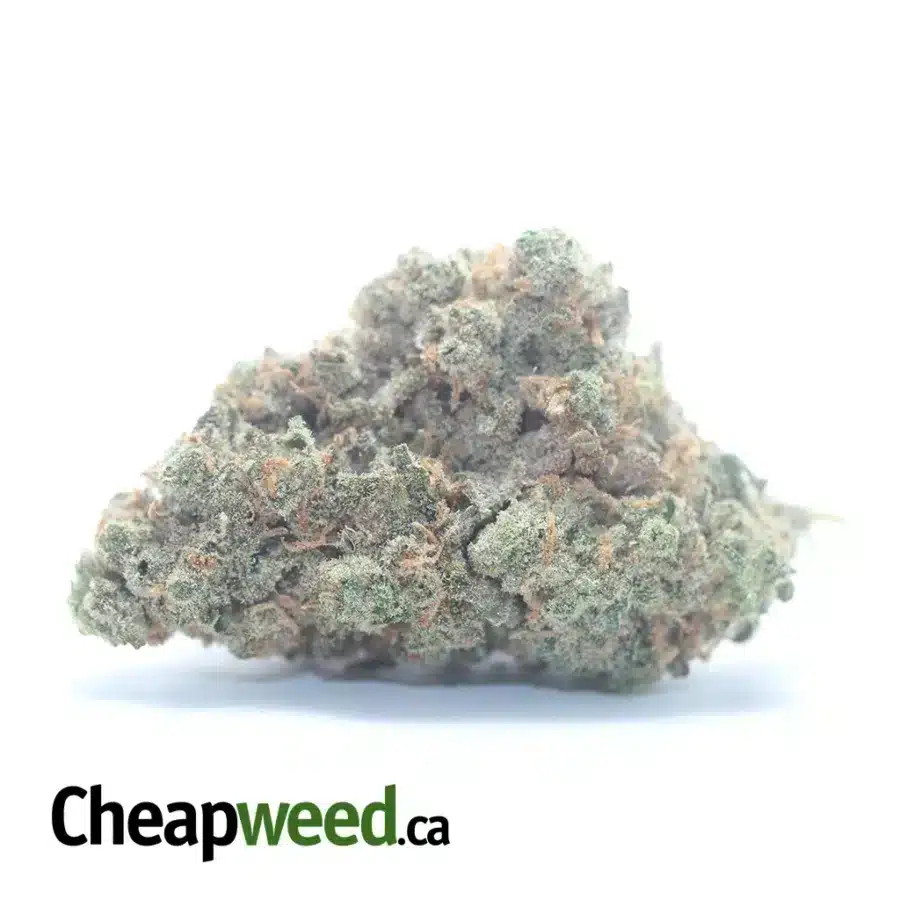 Cookie Wreck