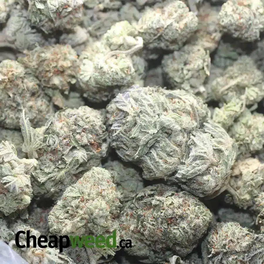 COOKIES AND CREAM 1 I Cookies And Cream