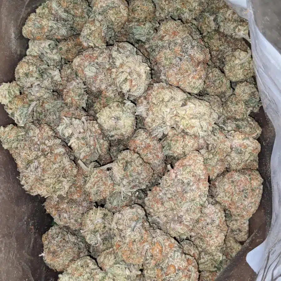 Chem De La Chem