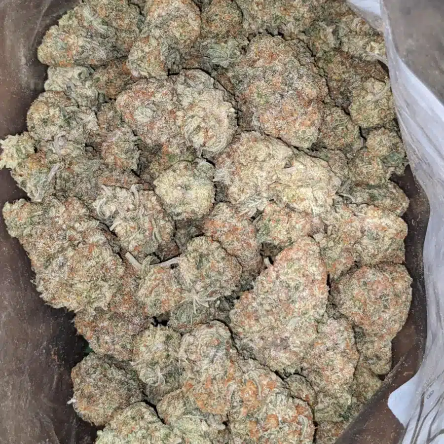Chem De La Chem 2 3 I Chem De La Chem