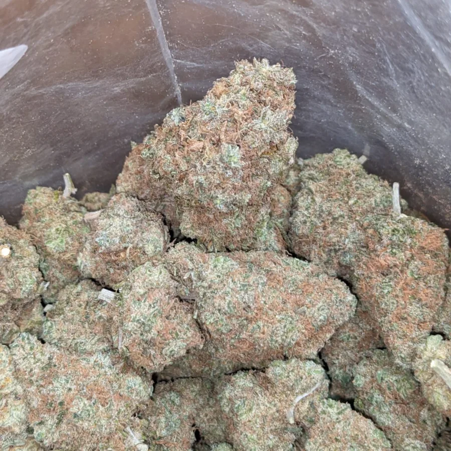 Chocolate Kush - Image 3