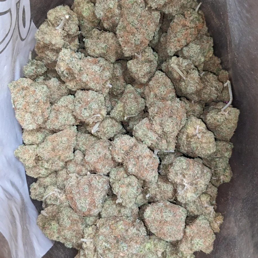Chocolate Kush