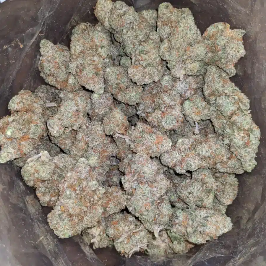 Choclate gelato 1 I Chocolate Gelato #2