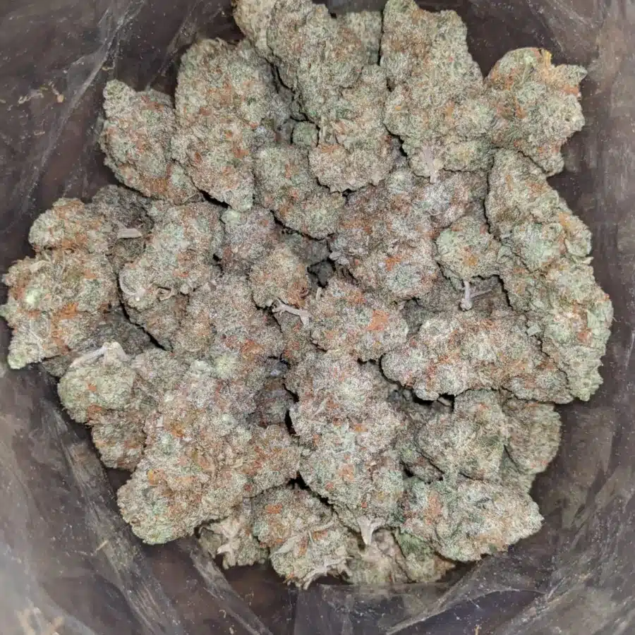 Choclate gelato 2 I Chocolate Gelato #2