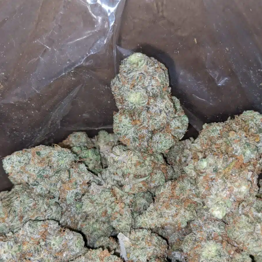Choclate gelato 3 I Chocolate Gelato #2