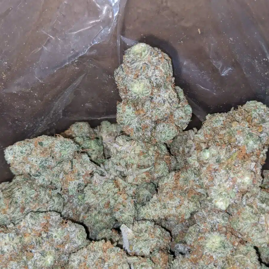 Choclate gelato 4 I Chocolate Gelato #2
