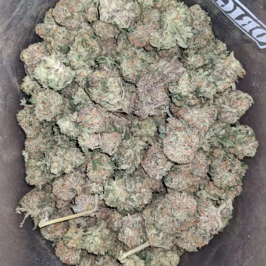 Chocolate Kush 2 1 I Chocolate Kush