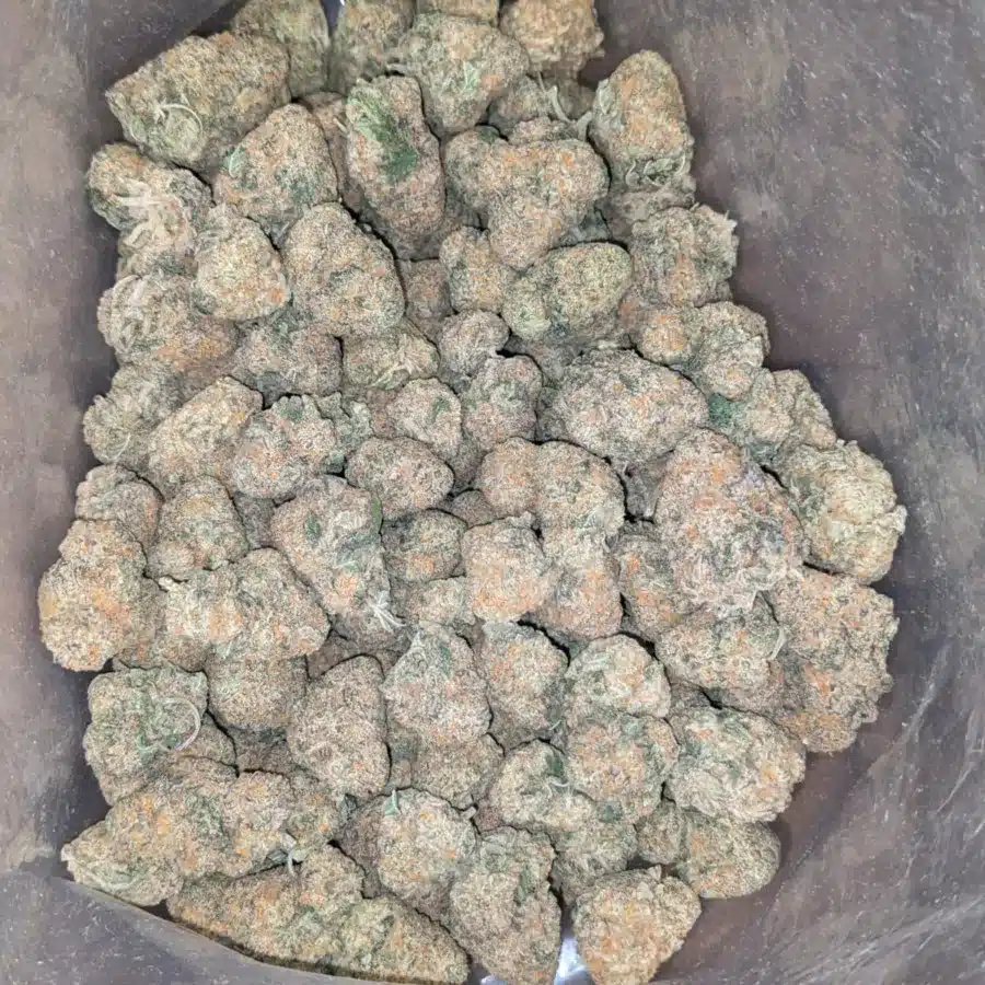 Columbian Flat Rate 1 I $48 Oz - Columbian Gold