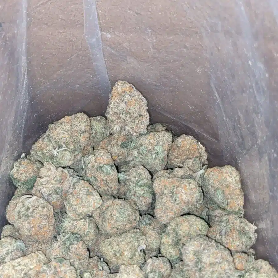 Columbian Flat Rate 2 I $48 Oz - Columbian Gold