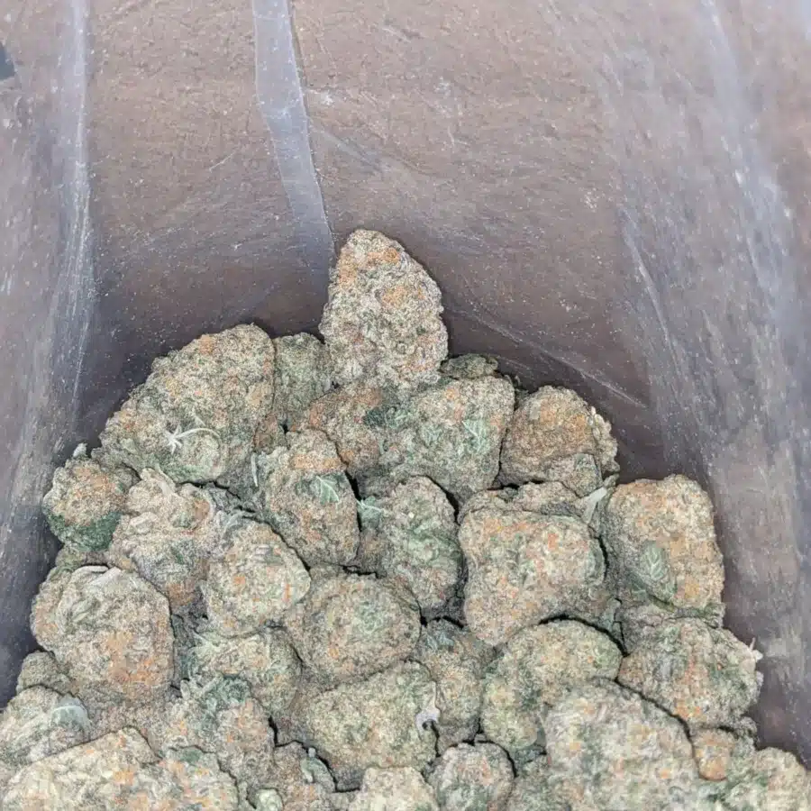 Columbian Flat Rate 3 I $48 Oz - Columbian Gold