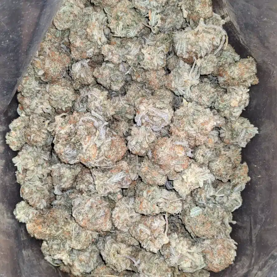 Cookie Wreck