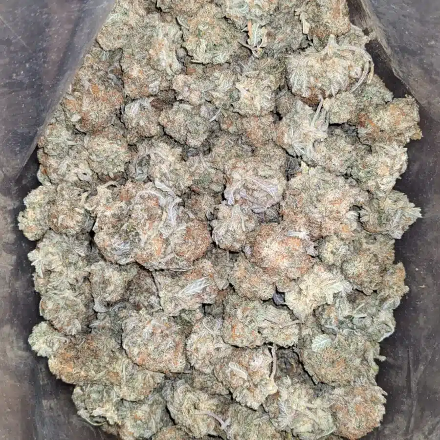 Alternative view of Cookie Wreck