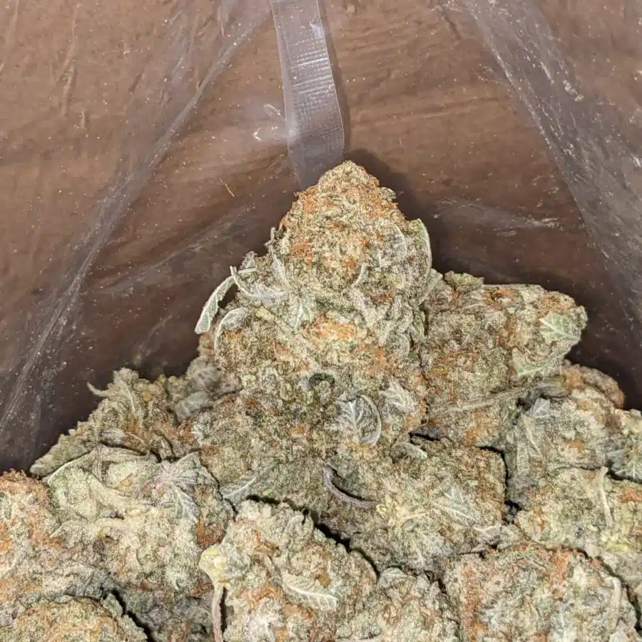 Cookie Wreck 3 1 I Cookie Wreck
