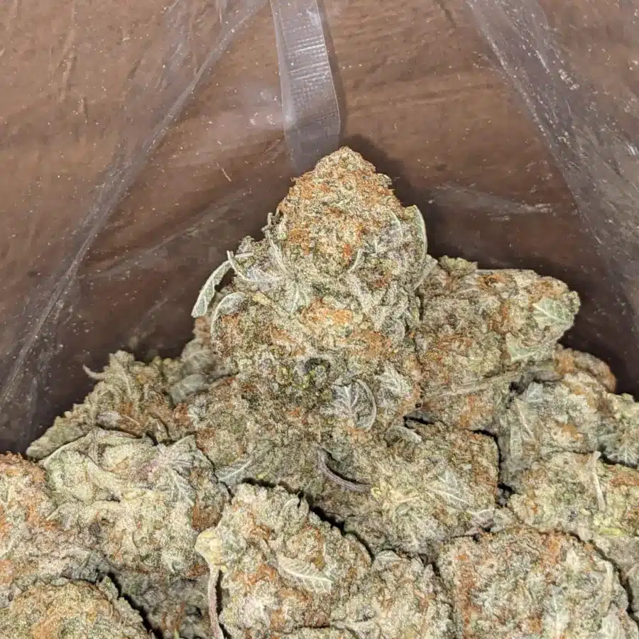 Cookie Wreck 4 I Cookie Wreck