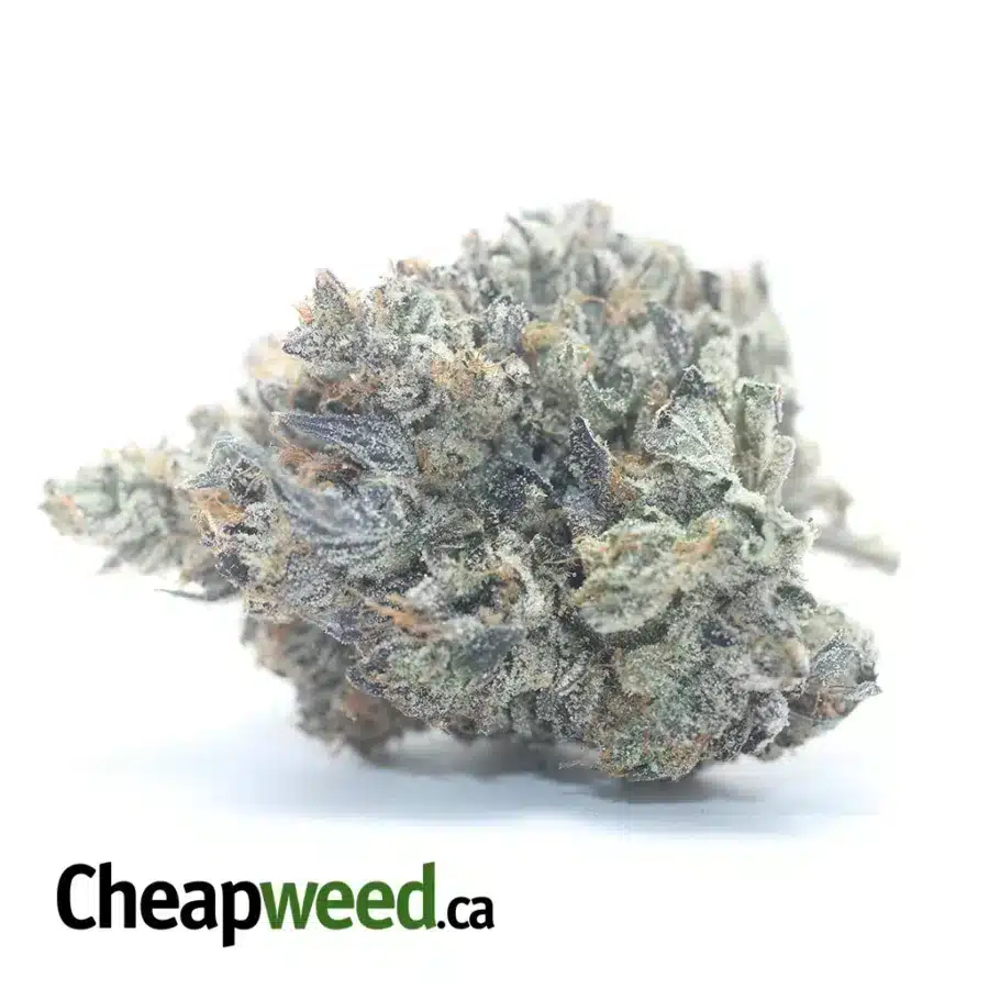 Death Bubba AAAA