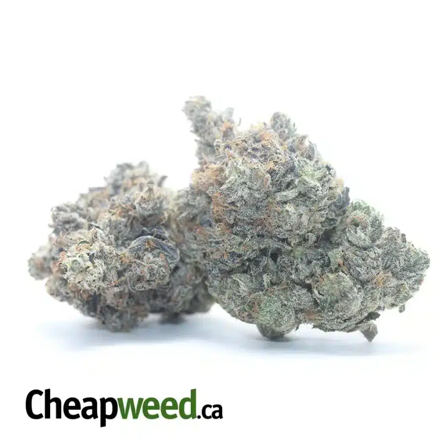 DEATH BUBBA AAAA 3 I Death Bubba AAAA