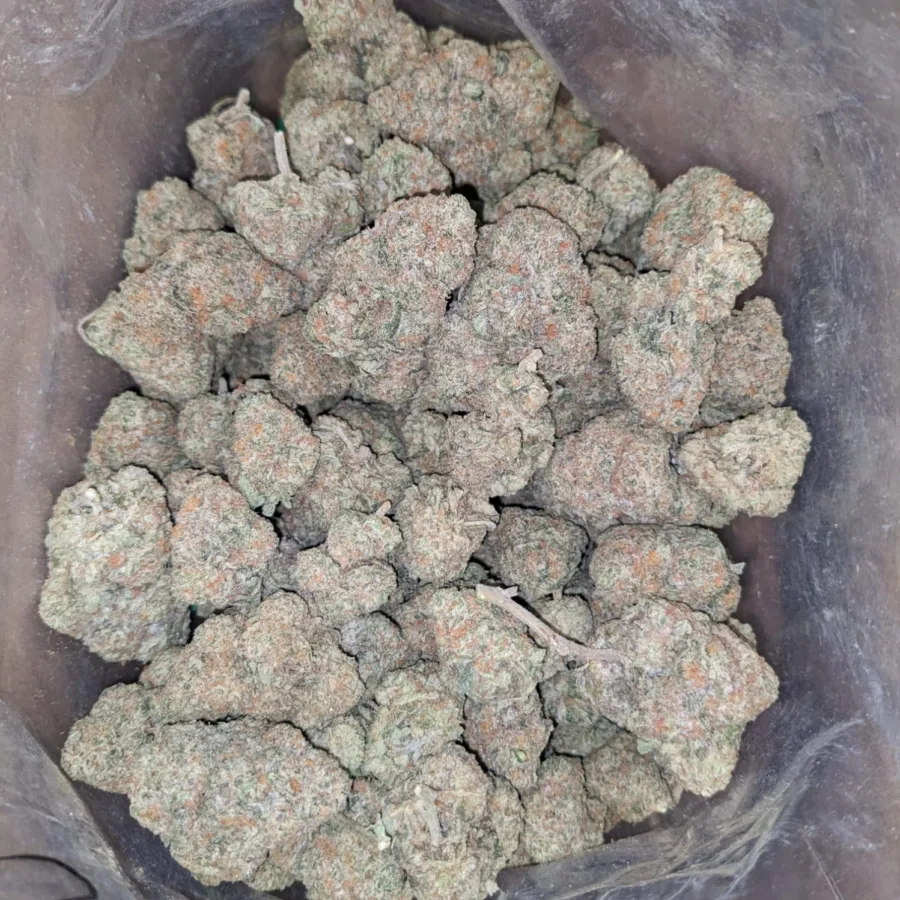 Alternative view of Donkey Butter