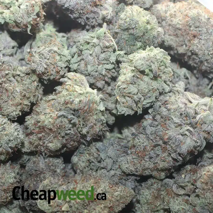 EAST COAST SOUR DIESEL 1 I East Coast Sour Diesel