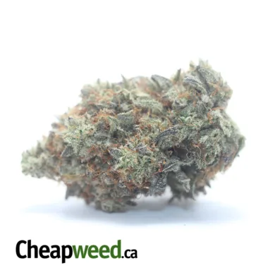 EAST COAST SOUR DIESEL 2 I Legacy
