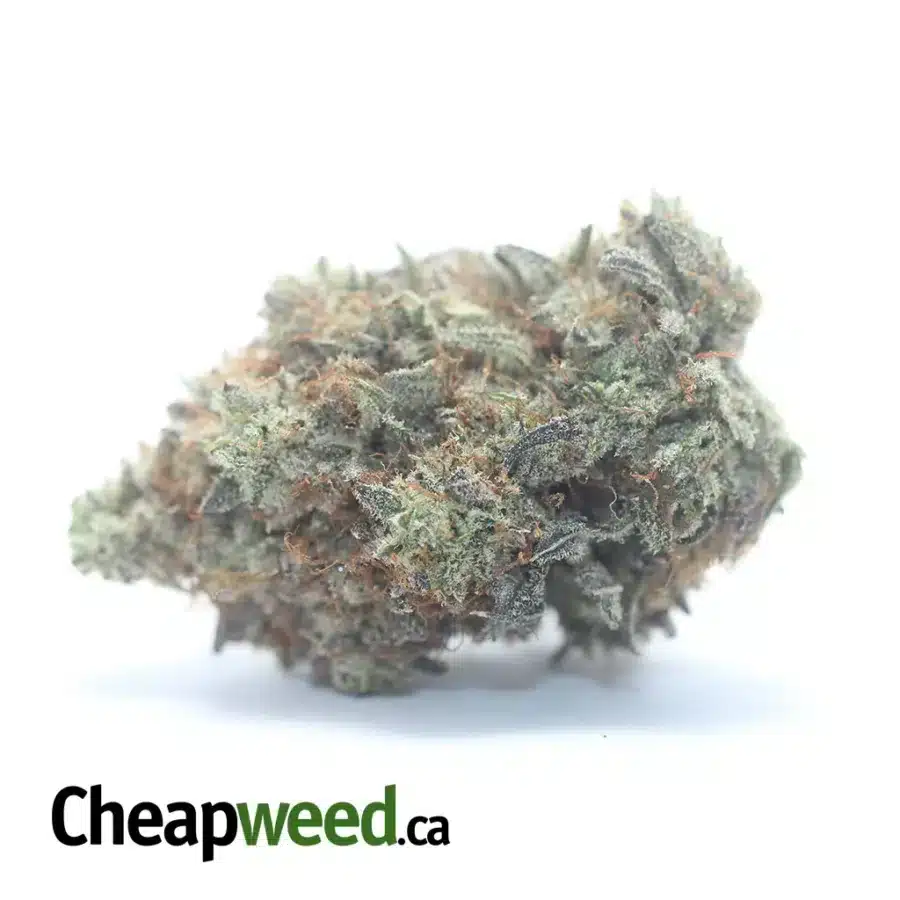 East Coast Sour Diesel