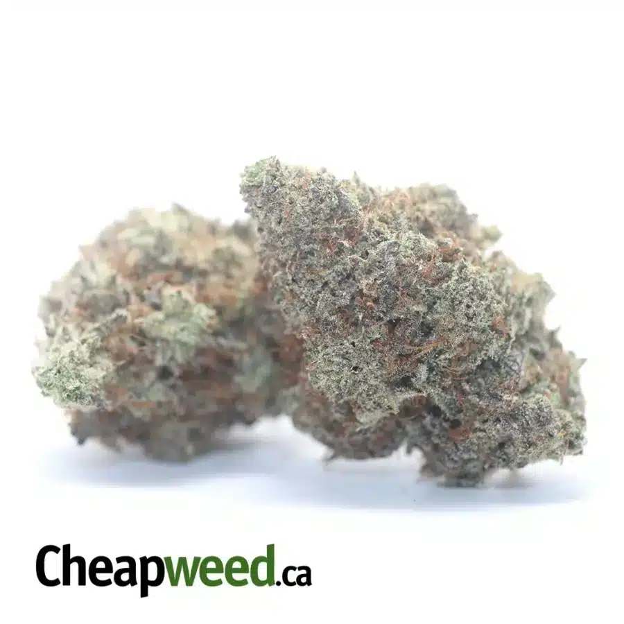 Alternative view of East Coast Sour Diesel