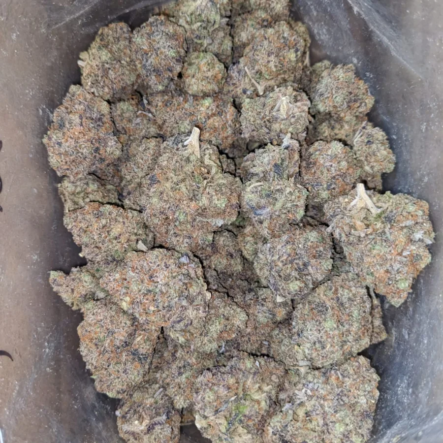 El Jefe AAA - Image 6