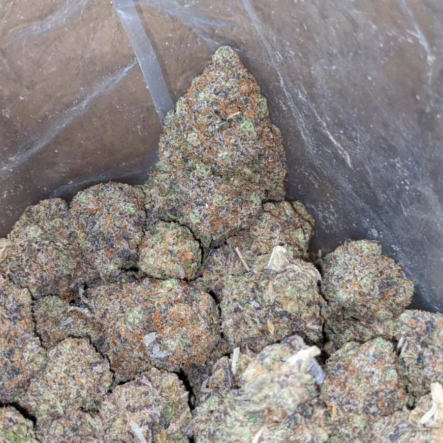 El Jefe AAA - Image 5
