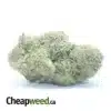 Girl Scout Cookies