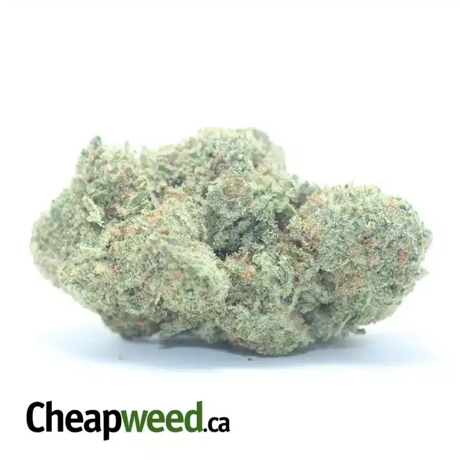 Girl Scout Cookies