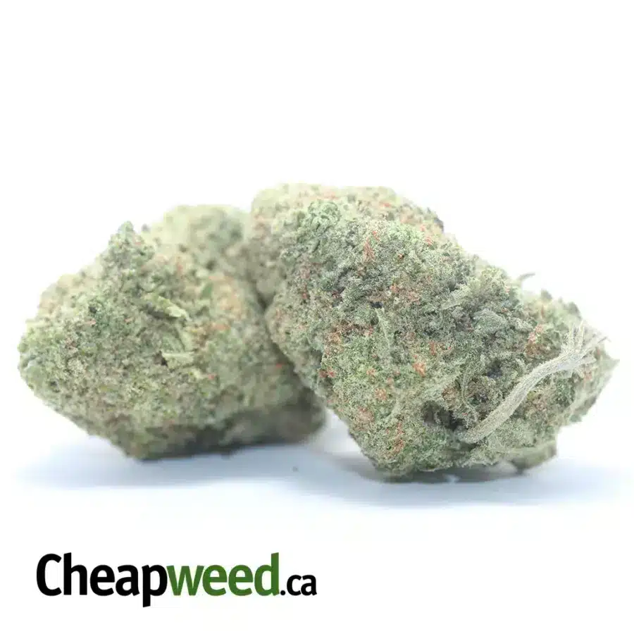 Alternative view of Girl Scout Cookies
