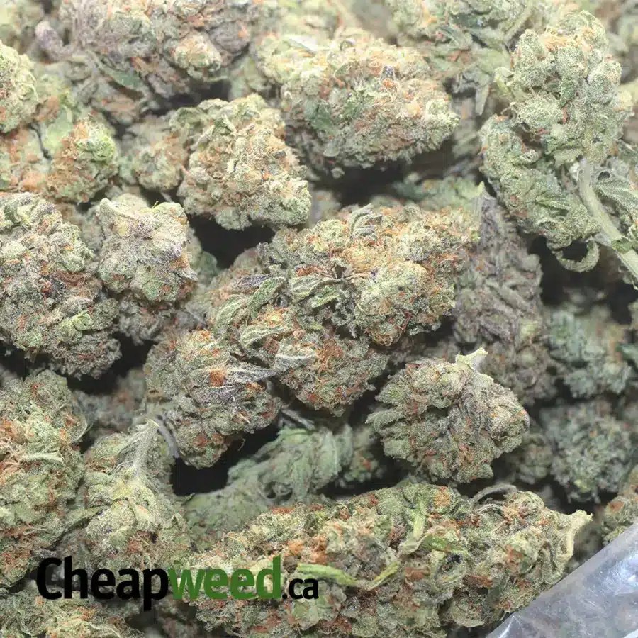 GORILLA GLUE 4 1 I Gorilla Glue #4