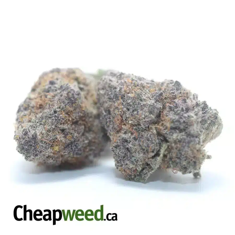 Alternative view of Grape God