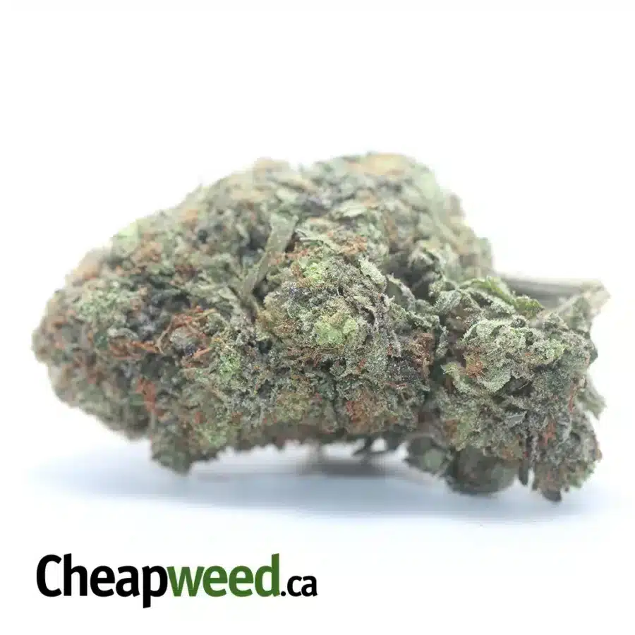 Greenfarm's Death Bubba