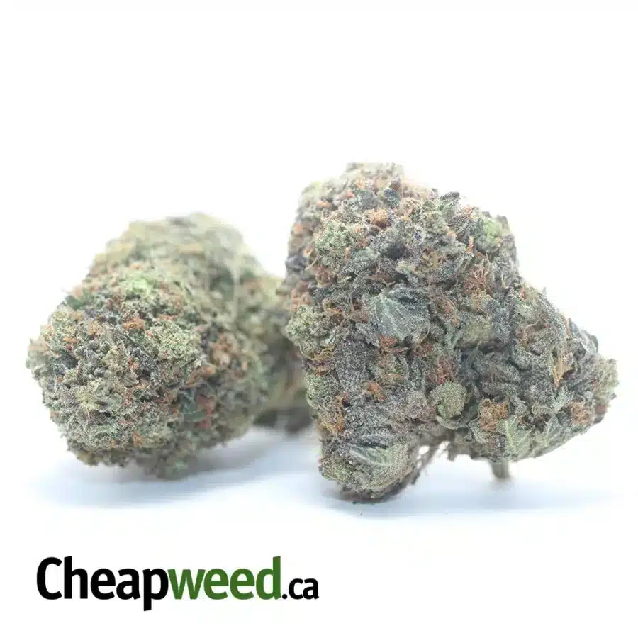 Alternative view of Greenfarm's Death Bubba