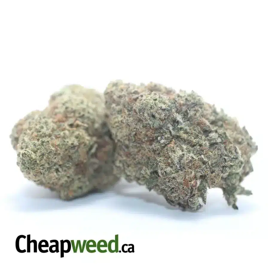 Alternative view of $ 49 Oz - Gruntz