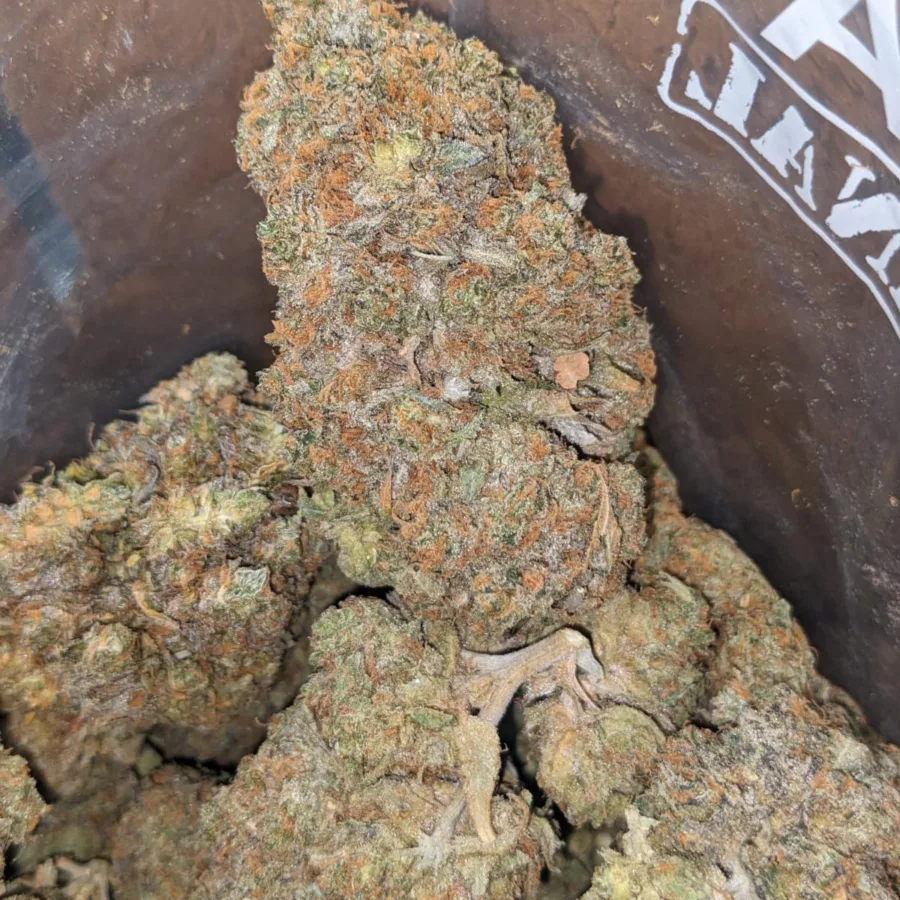 Gorilla Glue - Image 5