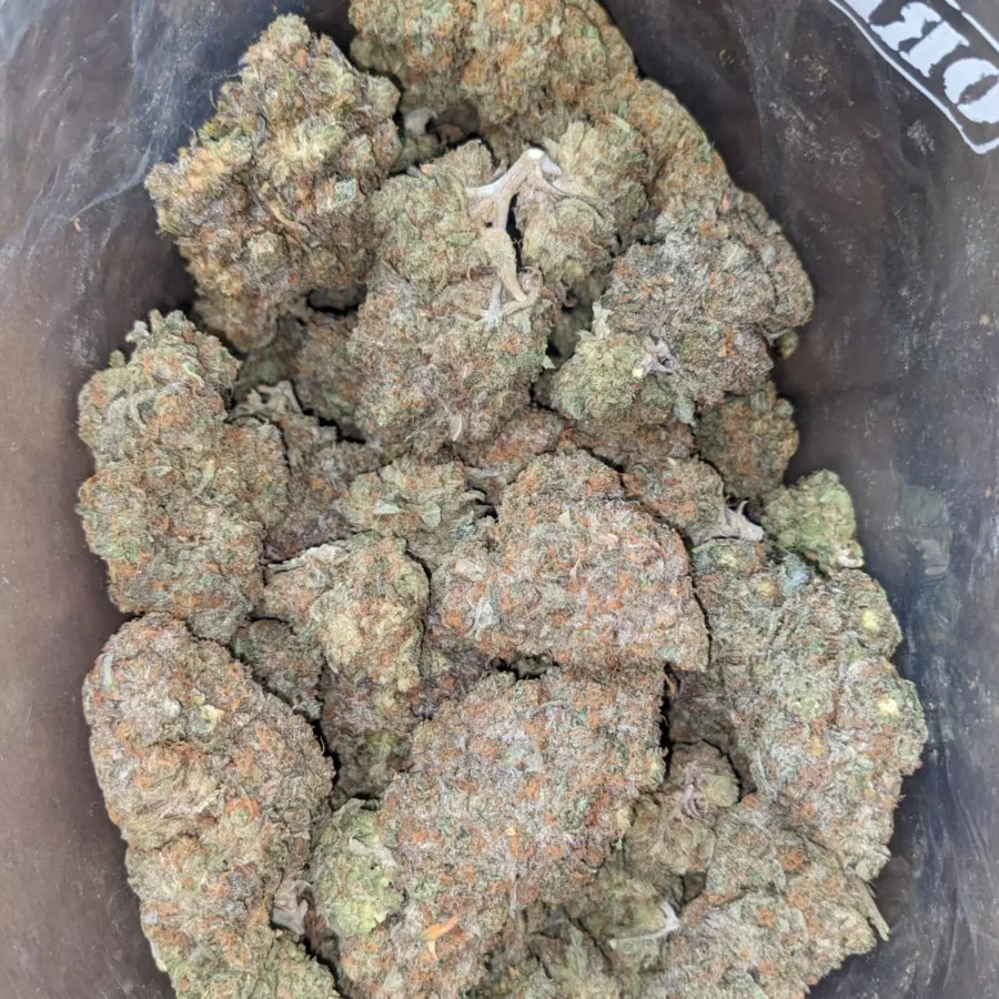 Gorilla Glue