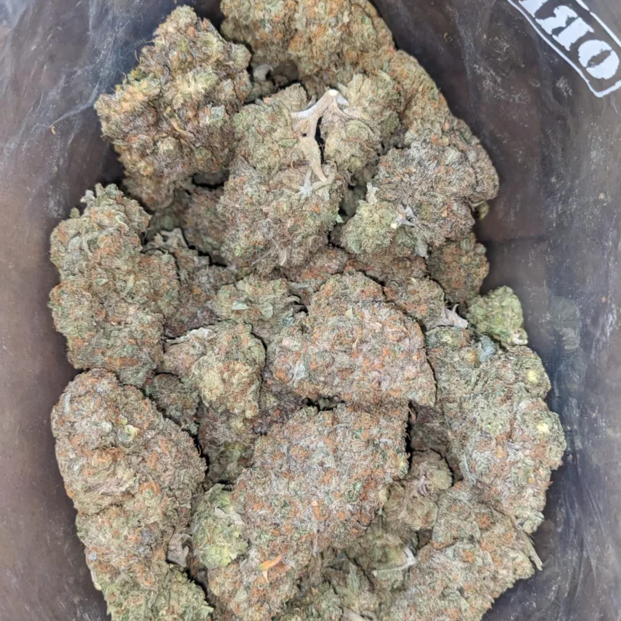 Gorilla Glue - Image 7