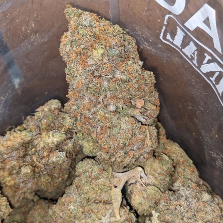 Gorilla Glue - Image 6