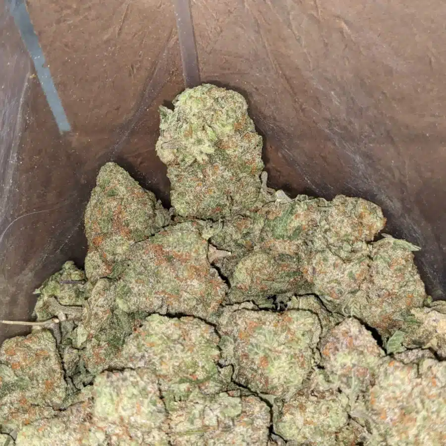 Alternative view of Green Goblin