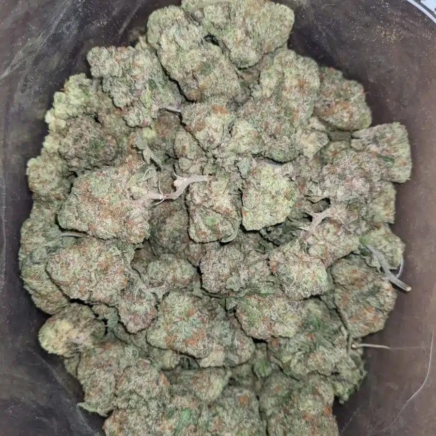 Green Goblin 4 I Green Goblin