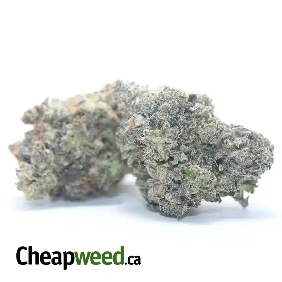 Alternative view of Hindu Kush AAAA