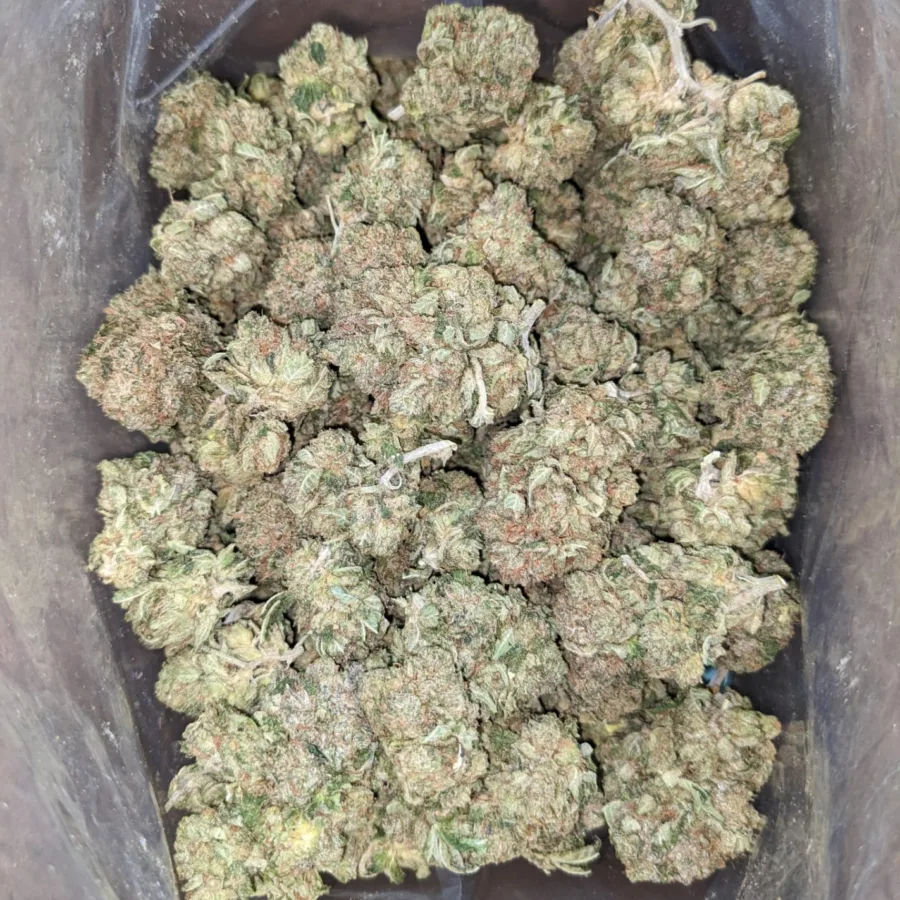 Alternative view of High Octane